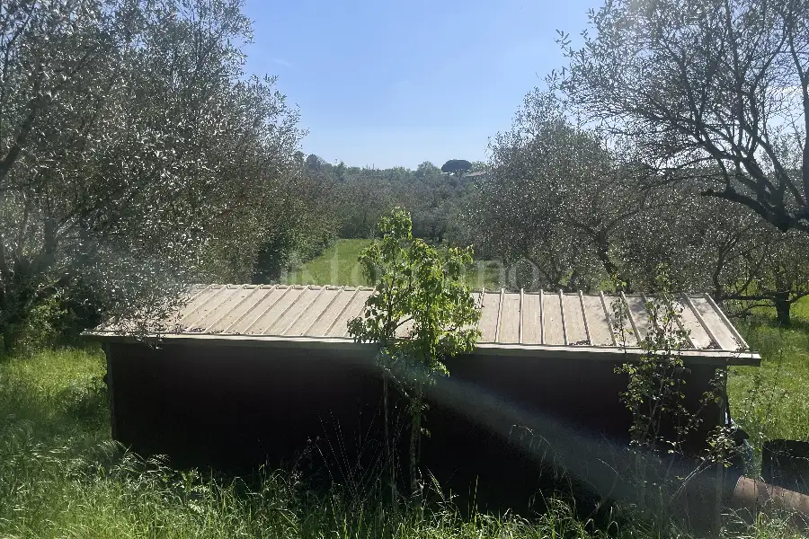 Agricolo in vendita di 3.360 mq a €12.000 (rif. 22/2026)