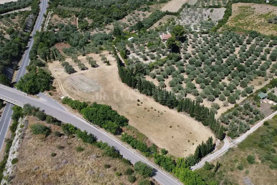 Edificabile Industriale in vendita di 9.000 mq a €50.000 (rif. 142/2026)