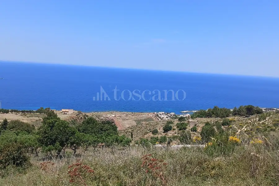 Agricolo in vendita di 37.700 mq a €225.000 (rif. 31/2026)