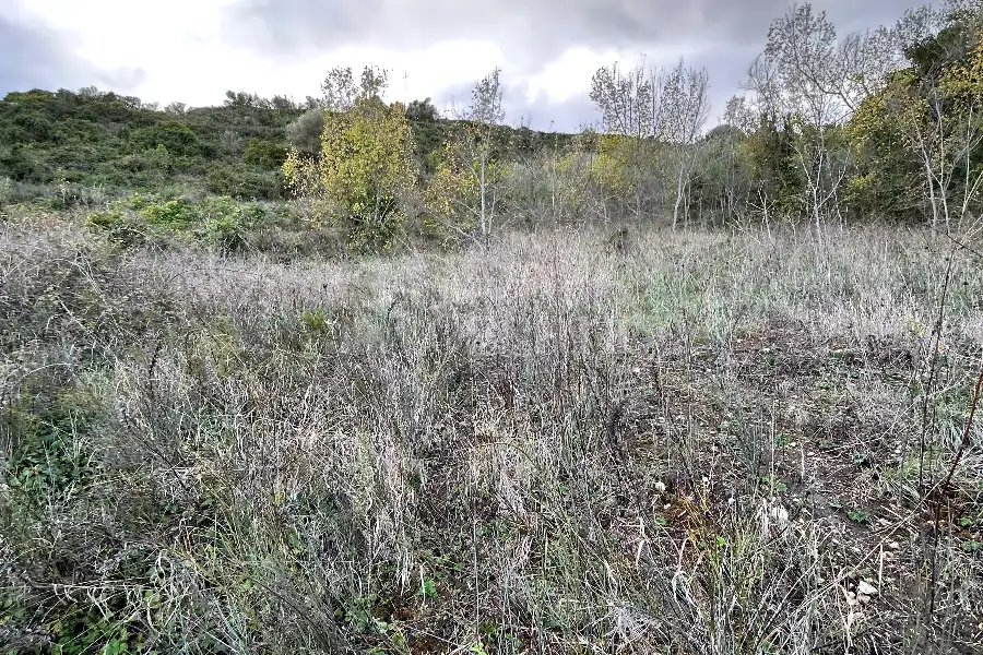 Agricolo in vendita di 4.300 mq a €10.000 (rif. 213/2025)