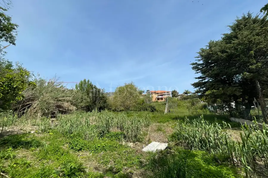 Edificabile Residenziali in vendita di 4.900 mq a €117.000 (rif. 44/2025)