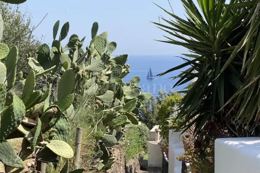 Villa in vendita di 1.000 mq a €1.990.000 (rif. 41/2025)