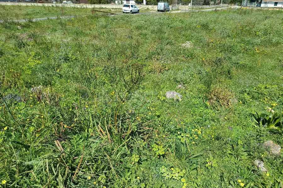 Agricolo in vendita di 5.700 mq a €16.000 (rif. 40/2026)