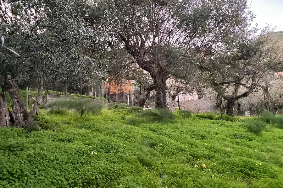 Casale in vendita di 60 mq a €68.000 (rif. 88/2024)