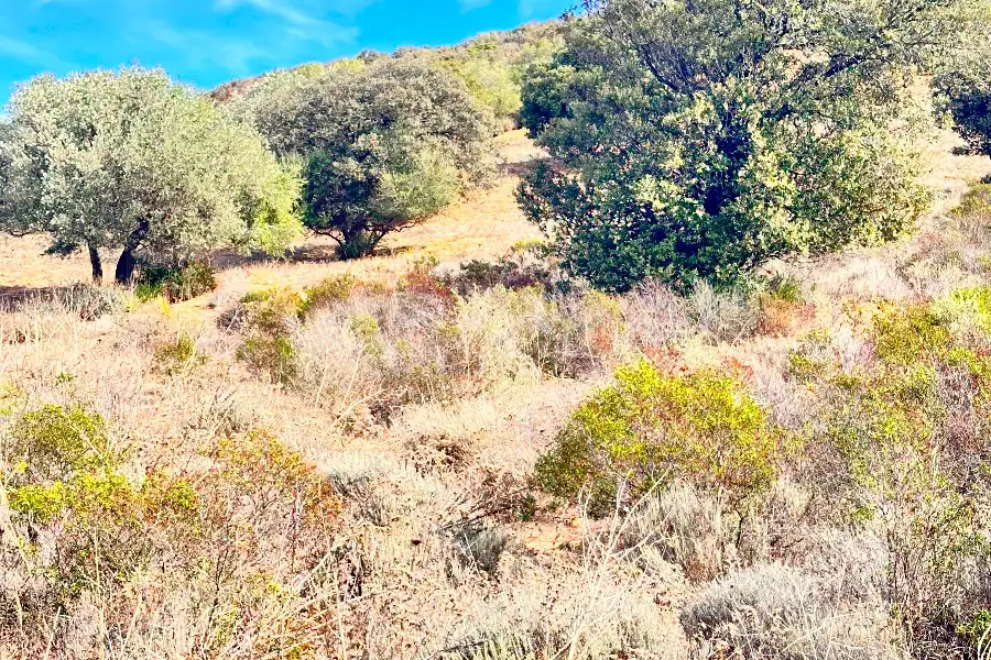 Agricolo in vendita di 375.217 mq a €480.000 (rif. 55/2024)