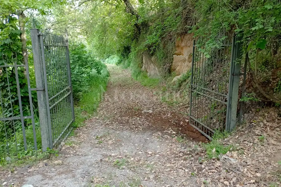 Agricolo in vendita di 3.360 mq a €12.000 (rif. 22/2026)