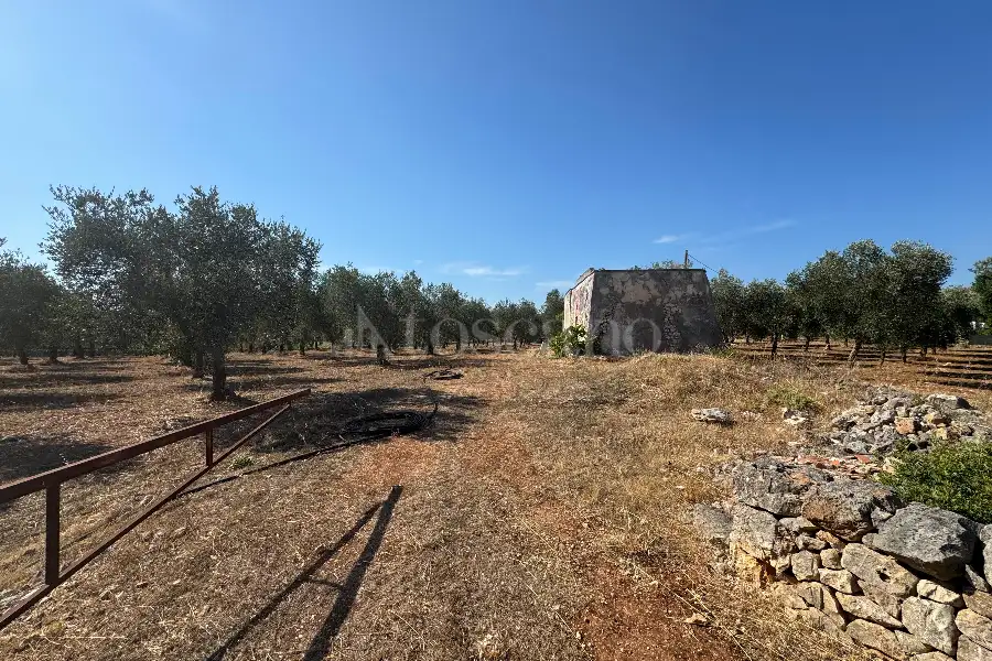 Villa in vendita di 50 mq a €55.000 (rif. 12/2025)