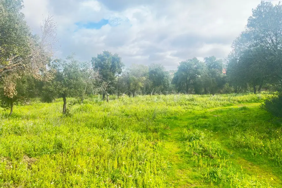 Edificabile Residenziali in vendita di 800 mq a €100.000 (rif. 2/2026)