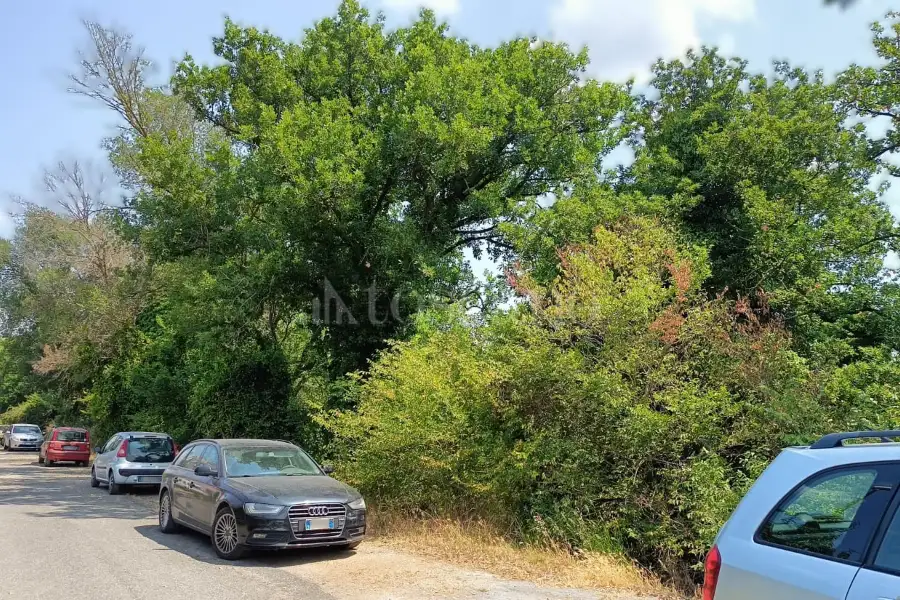 Agricolo in vendita di 3.000 mq a €55.000 (rif. 38/2025)