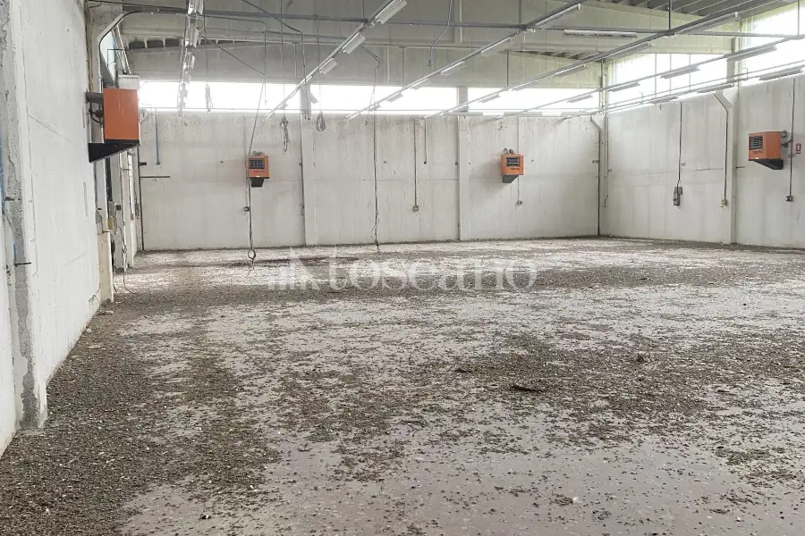 Capannone in vendita di 2000 mq a €740,000 (rif. TS0044VE)
