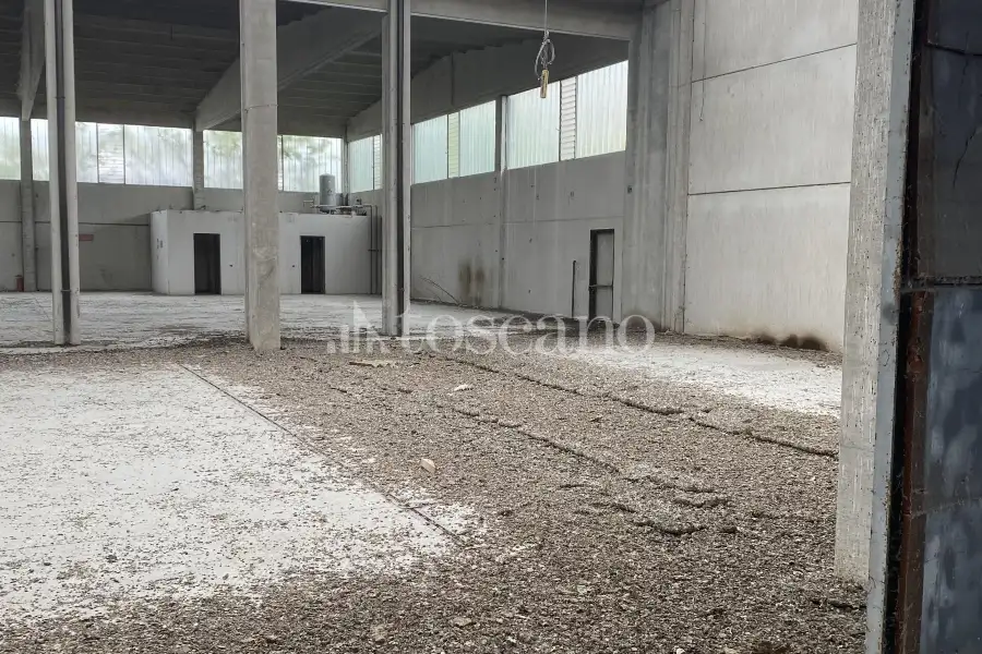 Capannone in vendita di 2000 mq a €740,000 (rif. TS0044VE)