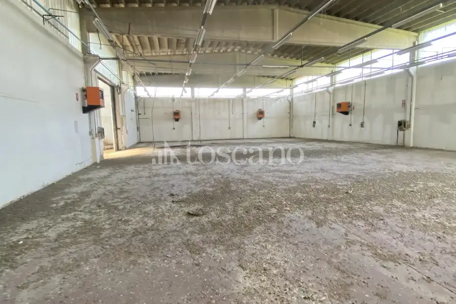 Capannone in vendita di 2000 mq a €740,000 (rif. TS0044VE)