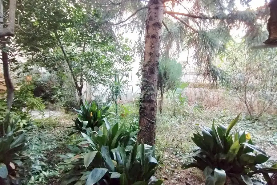 Casa Indipendente in vendita di 149 mq a €750.000 (rif. 3/2026)