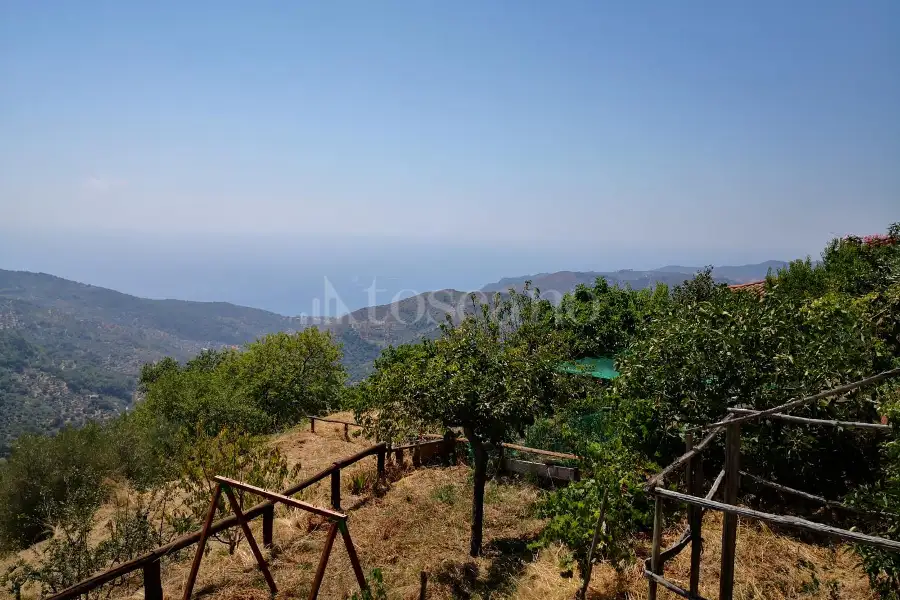 Villa Plurifamiliare in vendita di 275 mq a €350.000 (rif. 15/2025)