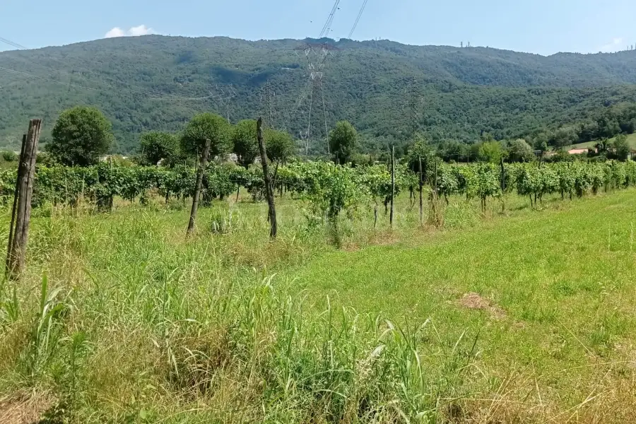 Agricolo in vendita di 2.900 mq a €33.000 (rif. 19/2025)