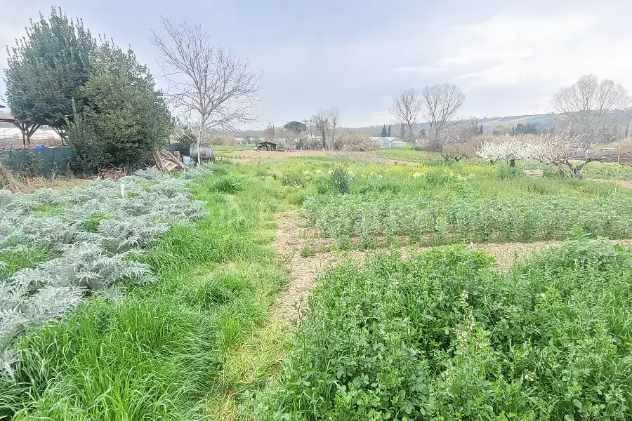 Casa Indipendente in vendita di 534 mq a €255.000 (rif. 1/2026)