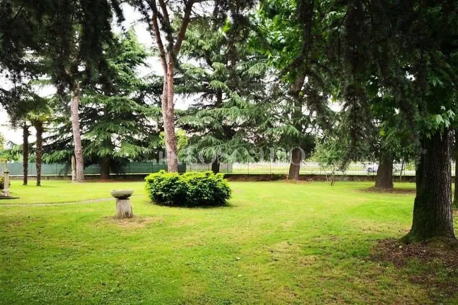 Capannone in vendita di 1500 mq a €710,000 (rif. TS0053VE)