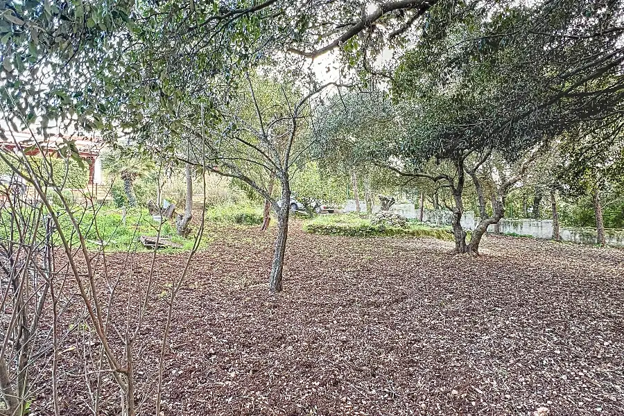 Villa in vendita di 160 mq a €339.000 (rif. 29/2025)