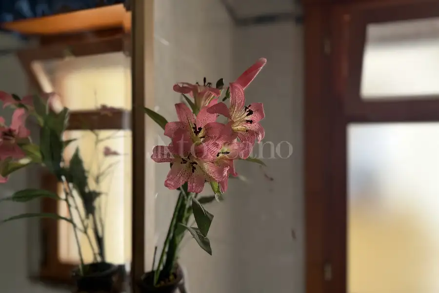 Casa in vendita di 90 mq a €319.000 (rif. 32/2026)