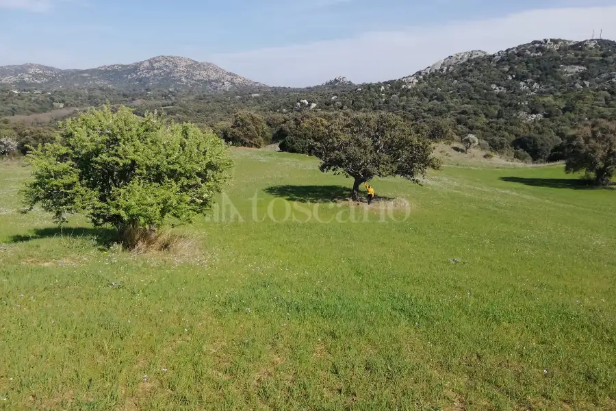 Agricolo in vendita di 194.010 mq a €250.000 (rif. 56/2024)