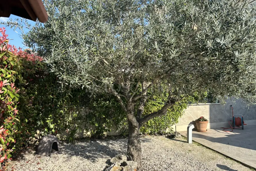Villa Plurifamiliare in vendita di 250 mq a €1.050.000 (rif. 14/2026)