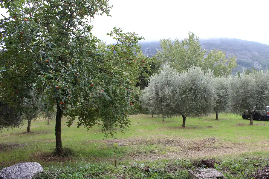 Casa Indipendente in vendita di 88 mq a €39.000 (rif. 33/2024)