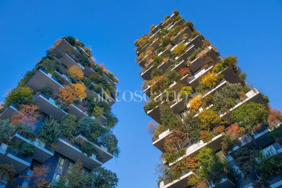 Attività Commerciale in vendita di 170 mq a €180,000 (rif. TS0043VE)