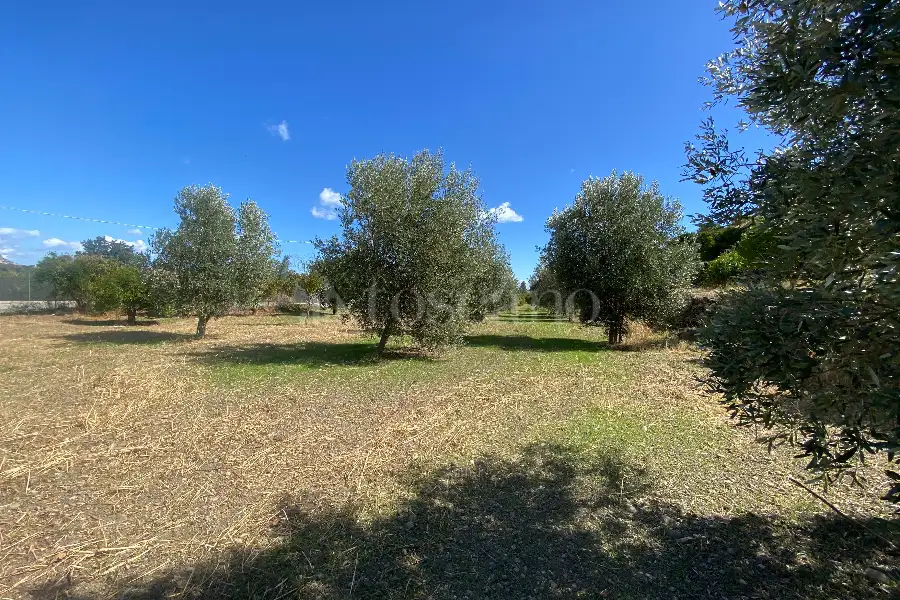 Agricolo in vendita di 5.393 mq a €36.000 (rif. 16/2026)