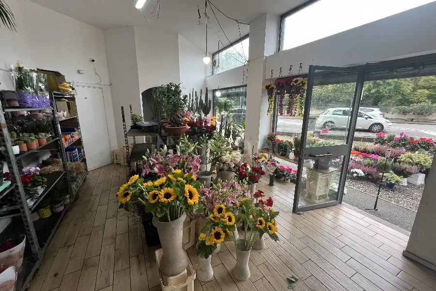 Negozio in vendita di 60 mq a €225.000 (rif. 33/2025)