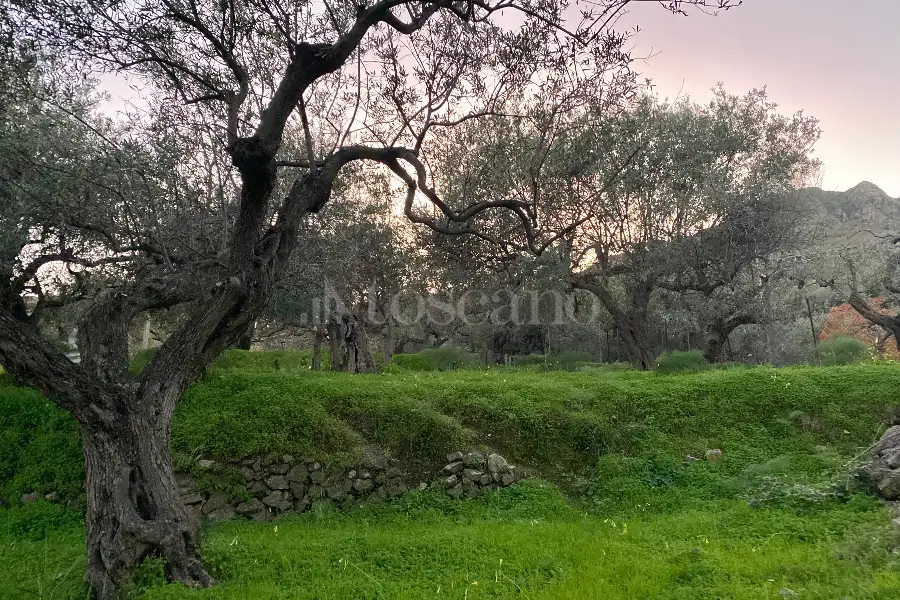 Casale in vendita di 60 mq a €68.000 (rif. 88/2024)