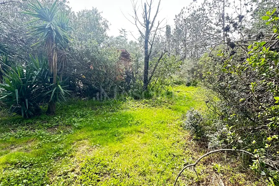 Edificabile Residenziali in vendita di 4.020 mq a €2.200.000 (rif. 10/2026)