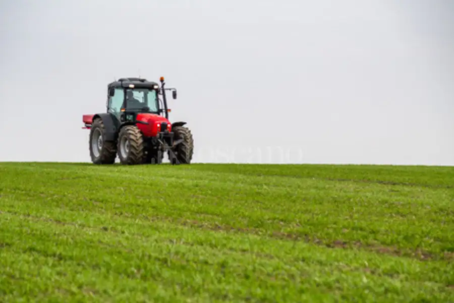 Agricolo in vendita di 2.000 mq a €15.000 (rif. 45/2025)