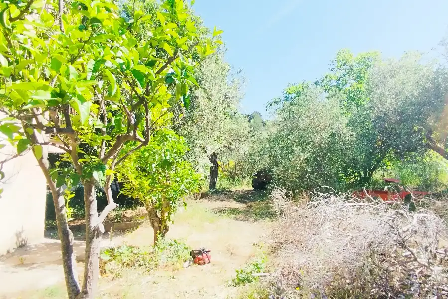 Casa Indipendente in vendita di 160 mq a €39.000 (rif. 24/2026)