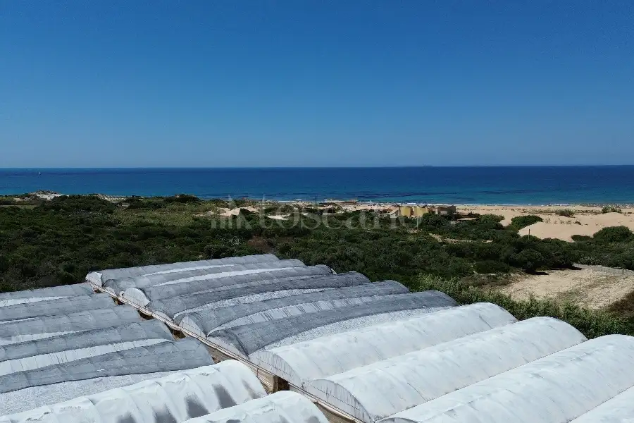 Edificabile Residenziali in vendita di 8.000 mq a €165.000 (rif. 63/2025)