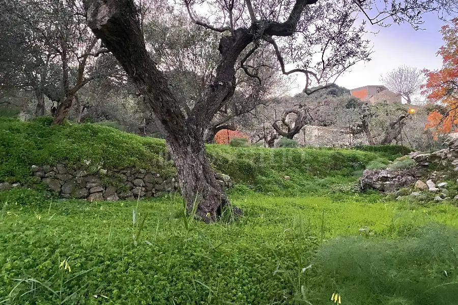 Casale in vendita di 60 mq a €68.000 (rif. 88/2024)