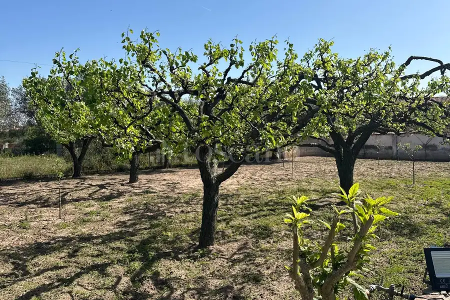 Villa in vendita di 300 mq a €290.000 (rif. 50/2025)