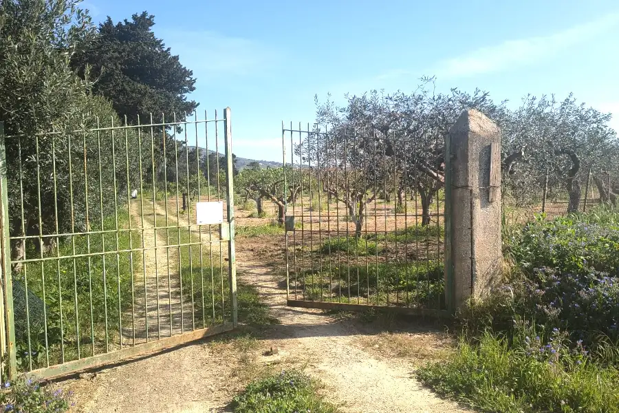 Agricolo in vendita di 14.880 mq a €108.000 (rif. 27/2026)
