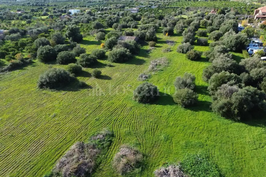 Edificabile Residenziali in vendita di 25.000 mq a €335.000 (rif. 137/2025)