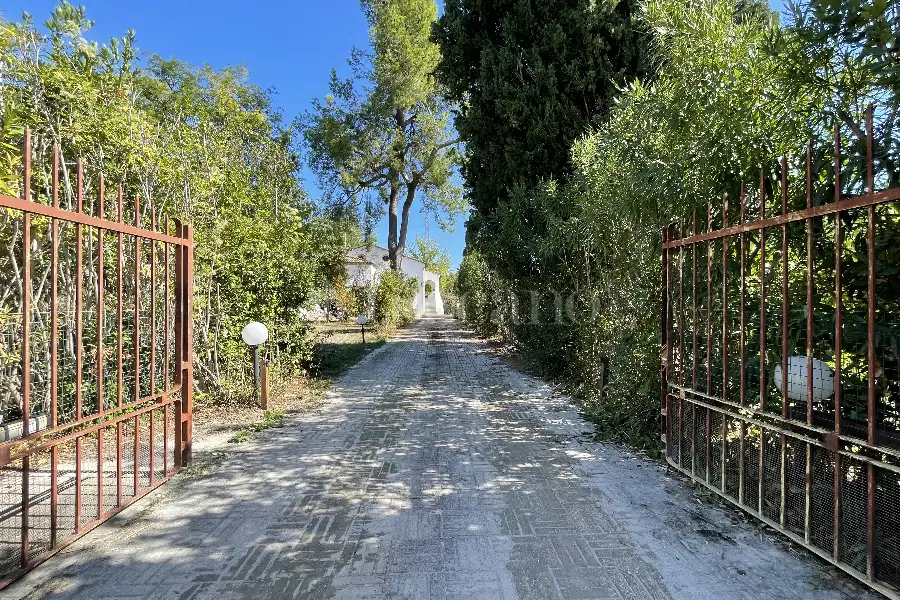 Villa Plurifamiliare in vendita di 25.000 mq a €650.000 (rif. 24/2024)