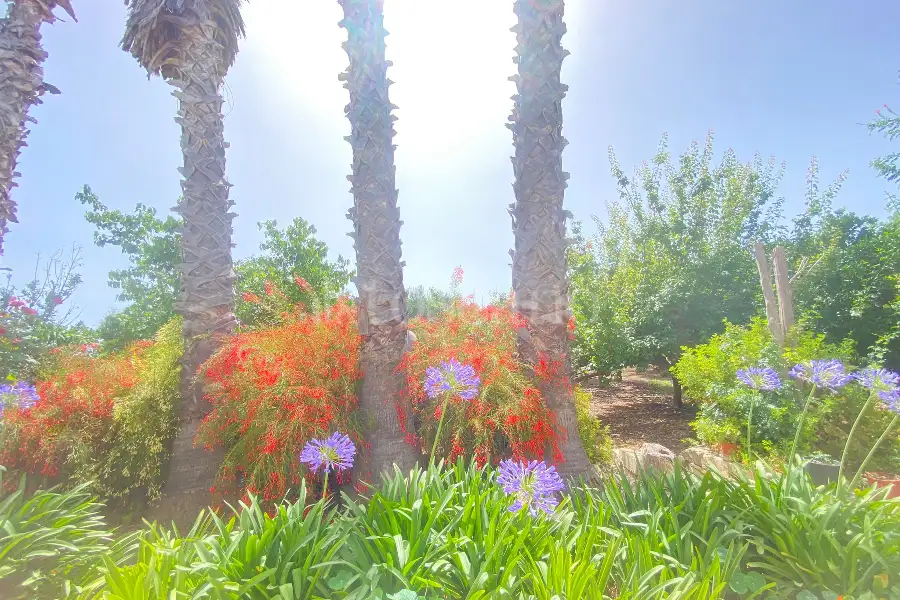 Villa in vendita di 100 mq a €200.000 (rif. 67/2024)