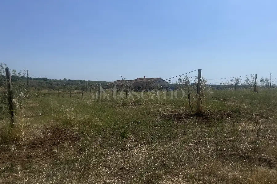 Agricolo in vendita di 60.000 mq a €170.000 (rif. 25/2026)