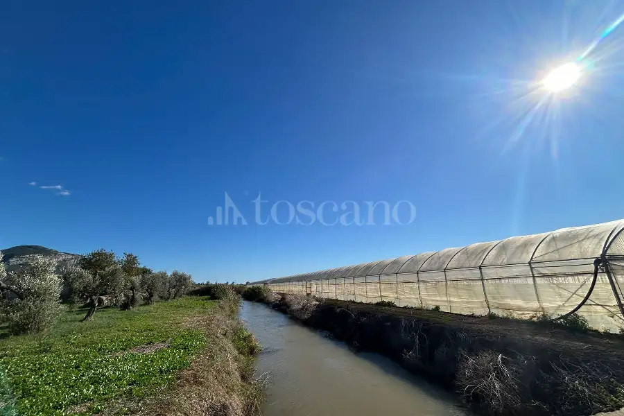 Agricolo in affitto di 50.000 mq a €80.000 (rif. 4/2026)
