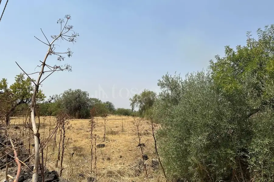 Agricolo in vendita di 17.000 mq a €165.000 (rif. 131/2026)