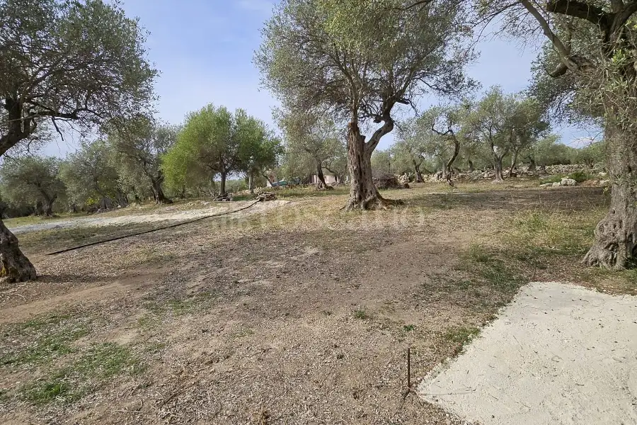 Edificabile Residenziali in vendita di 10.000 mq a €99.000 (rif. 176/2025)