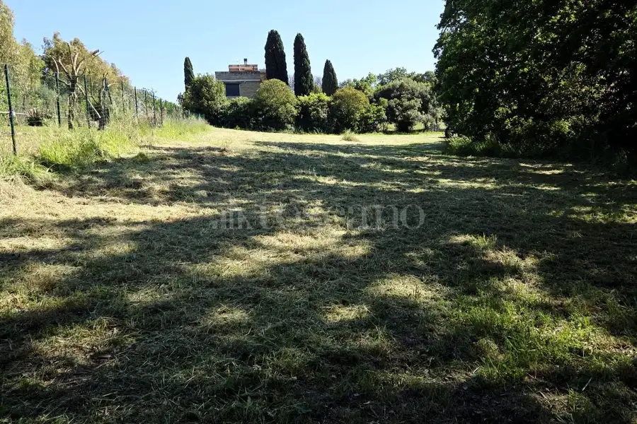 Edificabile Commerciale in affitto di 19.500 mq a €1.500 (rif. 77/2026)