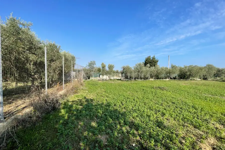 Agricolo in vendita di 1.288 mq a €37.000 (rif. 59/2025)