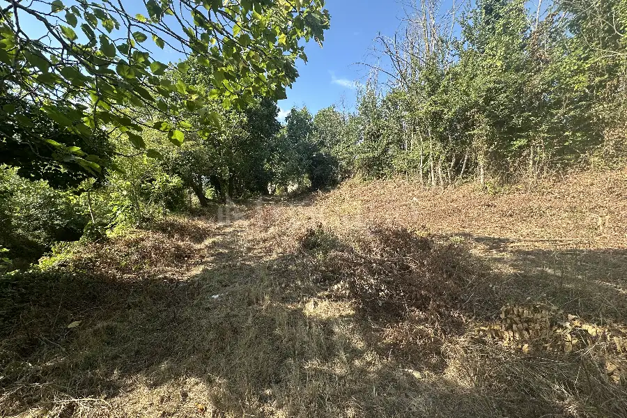 Agricolo in vendita di 1.200 mq a €19.900 (rif. 18/2025)