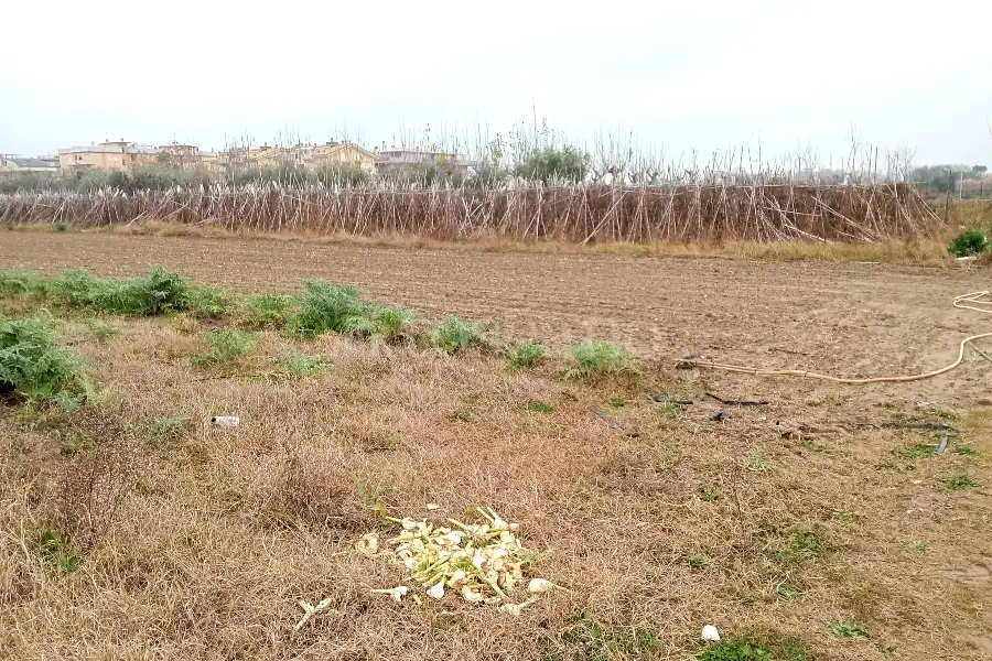 Agricolo in vendita di 2.400 mq a €55.000 (rif. 64/2025)