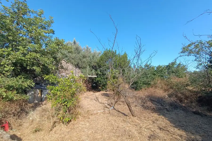 Edificabile Commerciale in vendita di 13.000 mq a €199.000 (rif. 61/2025)