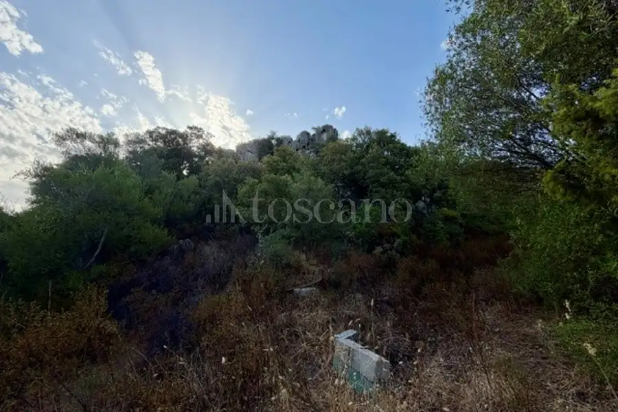 Agricolo in vendita di 13.000 mq a €95.000 (rif. 56/2026)